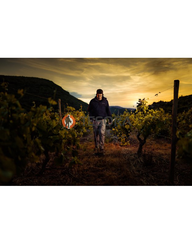 XP DEUS 2 metalo detektorius tik su pultu ir pasirenkama rite + DOVANA 9