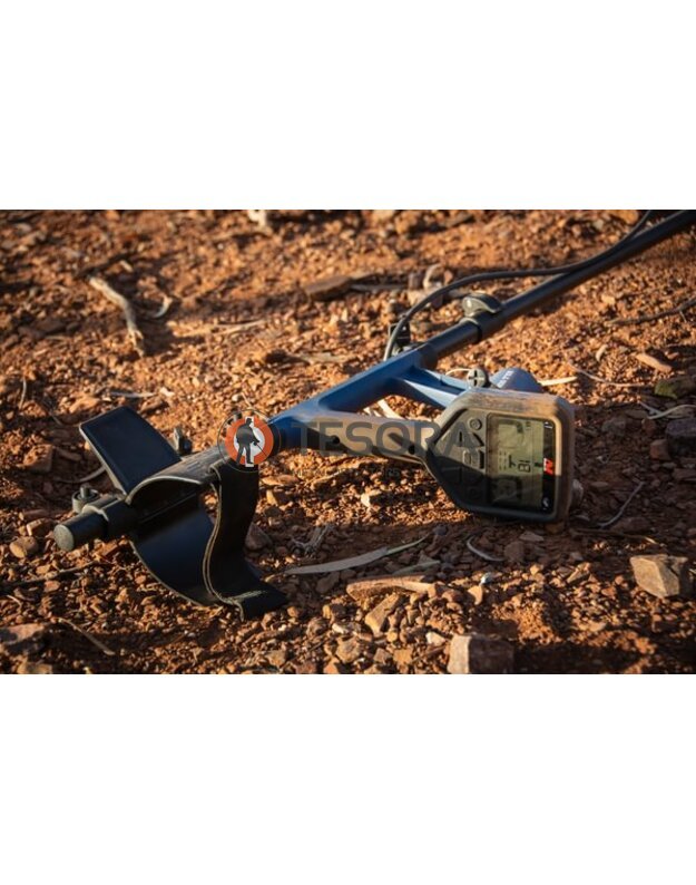 Minelab GOLD MONSTER 2000 metalo detektorius 4