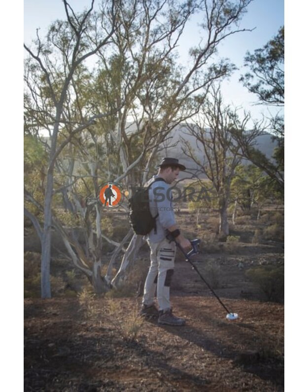 Minelab GOLD MONSTER 2000 metalo detektorius 5