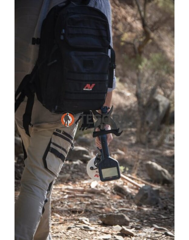 Minelab GOLD MONSTER 2000 metalo detektorius 9