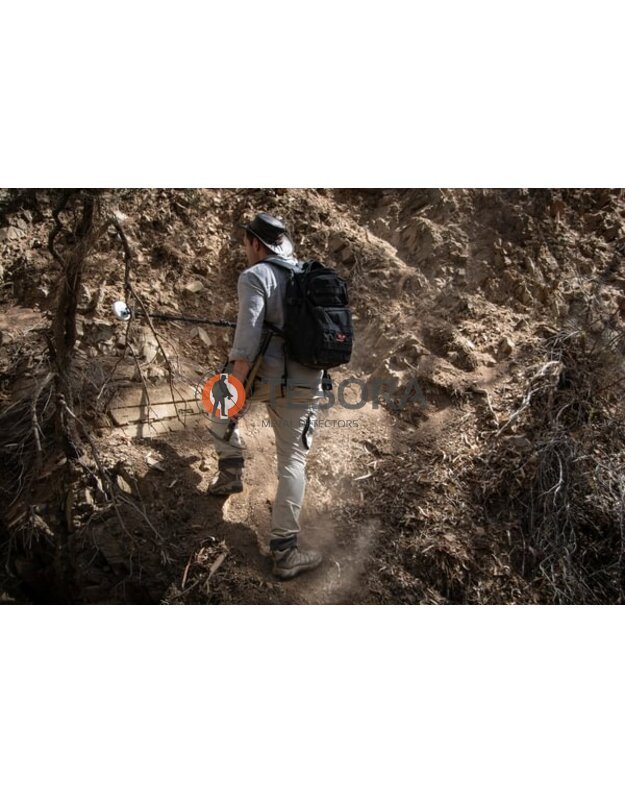 Minelab GOLD MONSTER 2000 metalo detektorius 12