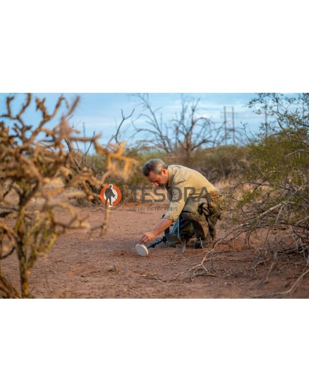 Minelab GOLD MONSTER 2000 metalo detektorius 14