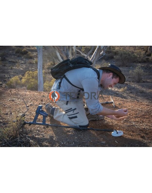 Minelab GOLD MONSTER 2000 metalo detektorius 15