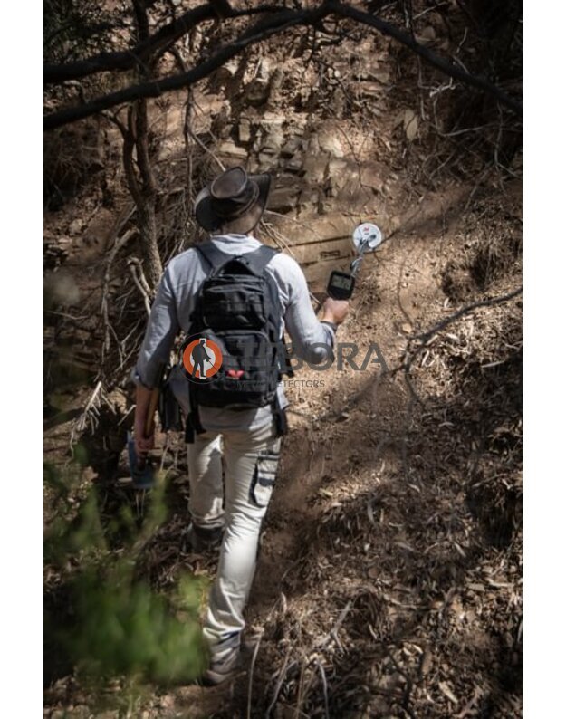 Minelab GOLD MONSTER 2000 metalo detektorius 17