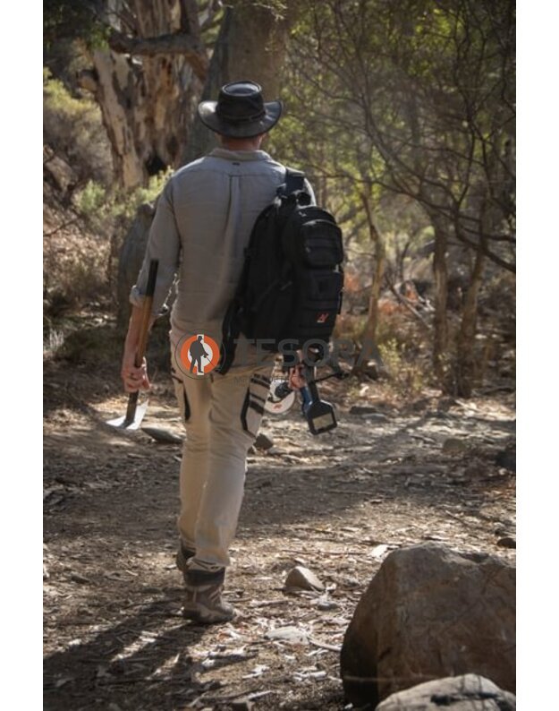 Minelab GOLD MONSTER 2000 metalo detektorius 22