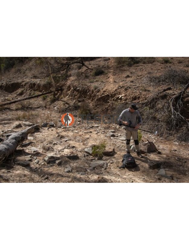 Minelab GOLD MONSTER 2000 metalo detektorius 32