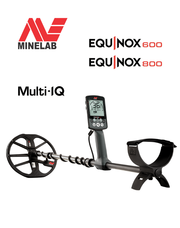 Minelab Equinox 600 ir 800 skirtumai